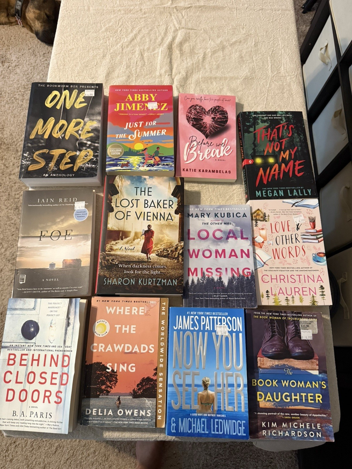 Paperback Fiction Novel Book Lot – B.A. Paris, Delia Owens, Mary Kubica