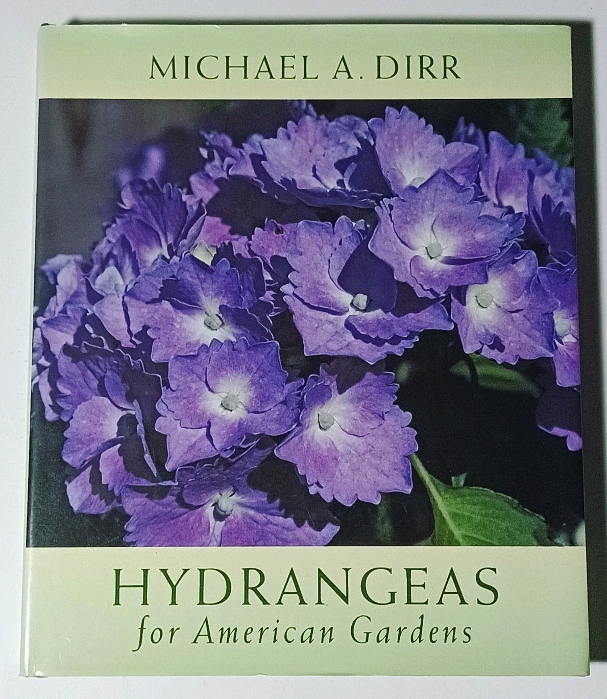 Hydrangeas for American Gardens by Michael A. Dirr (2004, Hardcover)