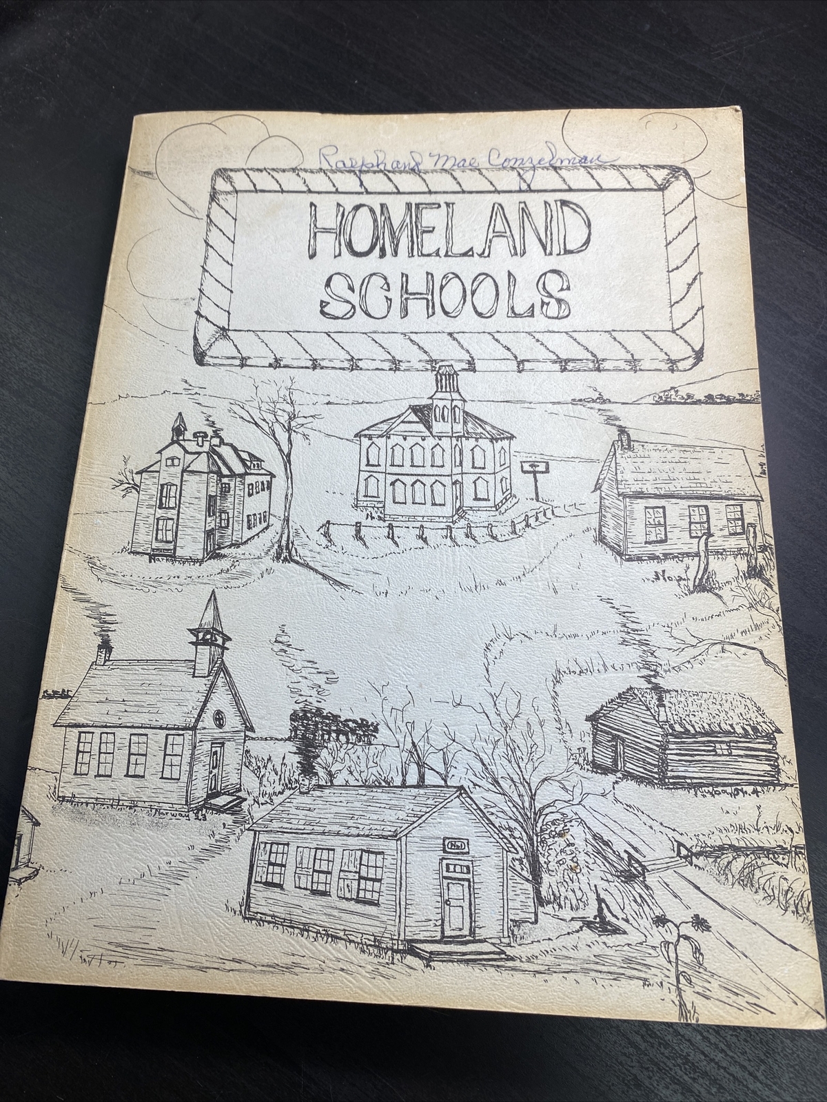 Vintage Book About Schools Homeland Schools 274 Pages ￼about Schools in kansas