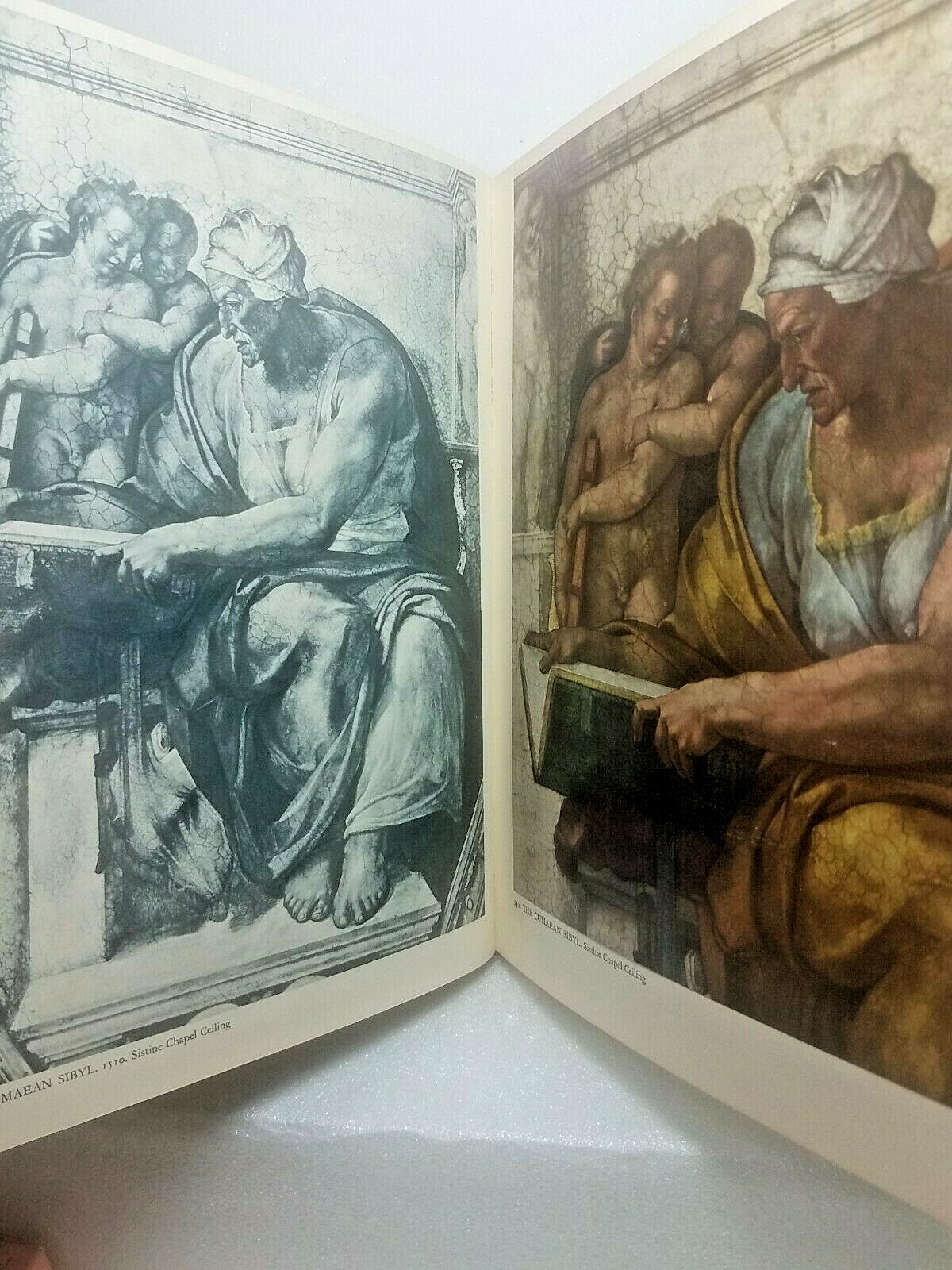Michelangelo~Paintings•Sculptures•Architecture~Hardcover Art-book~1964~262 Pages