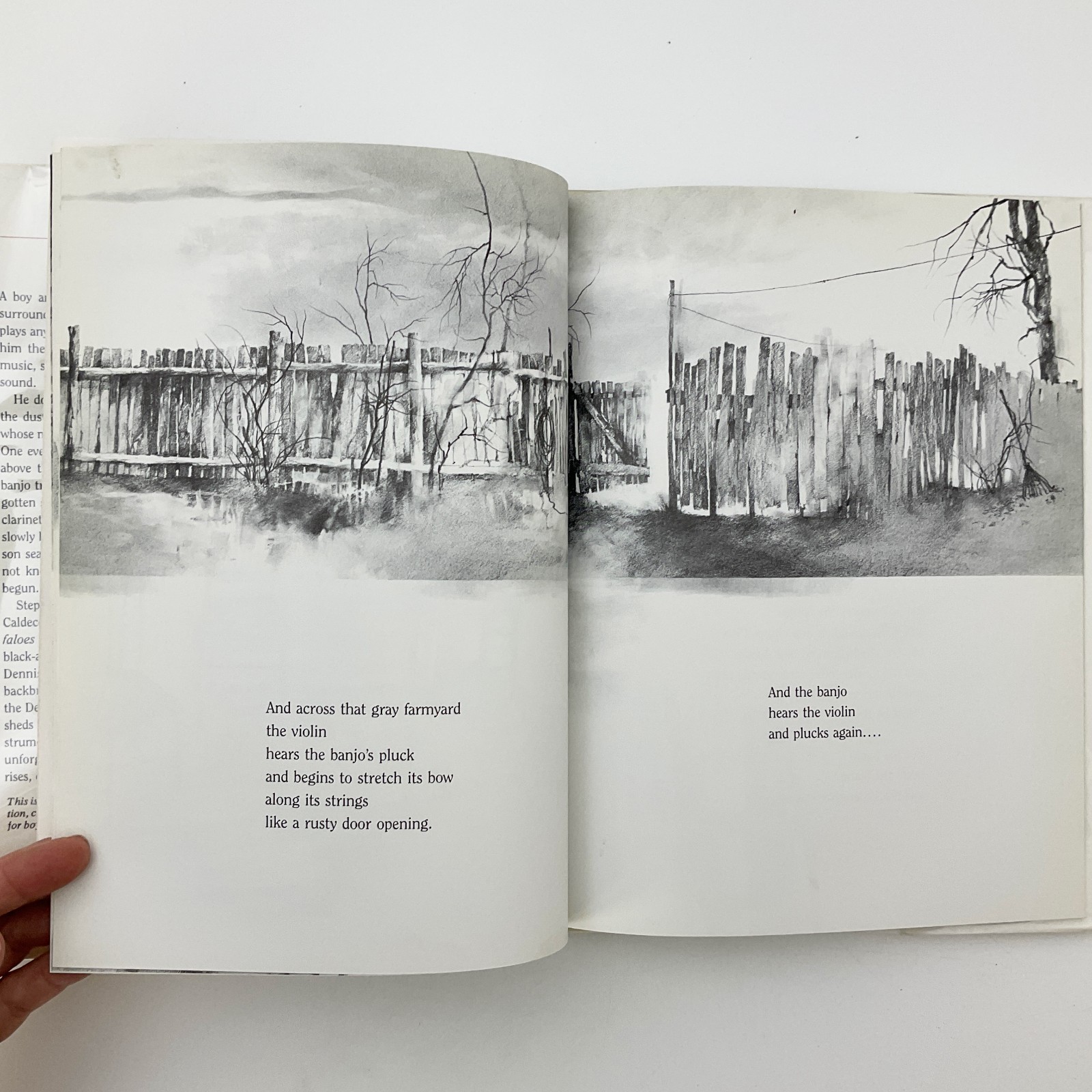 The Old Banjo Stephen Gammell Children’s Picture Hardcover Book 1983