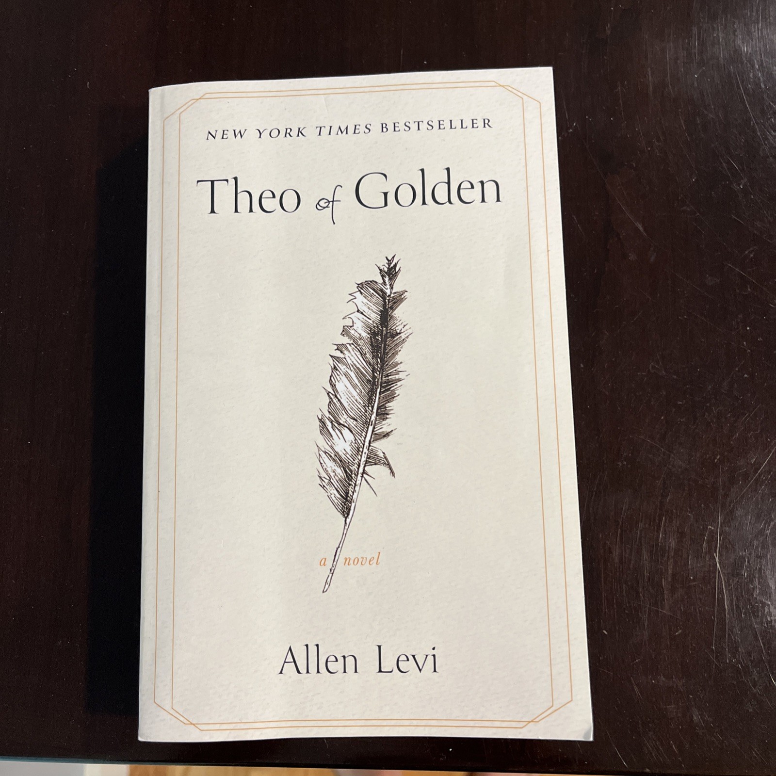 Theo of Golden by Allen Levi 2023 Paperback English Edition – LIKE NEW