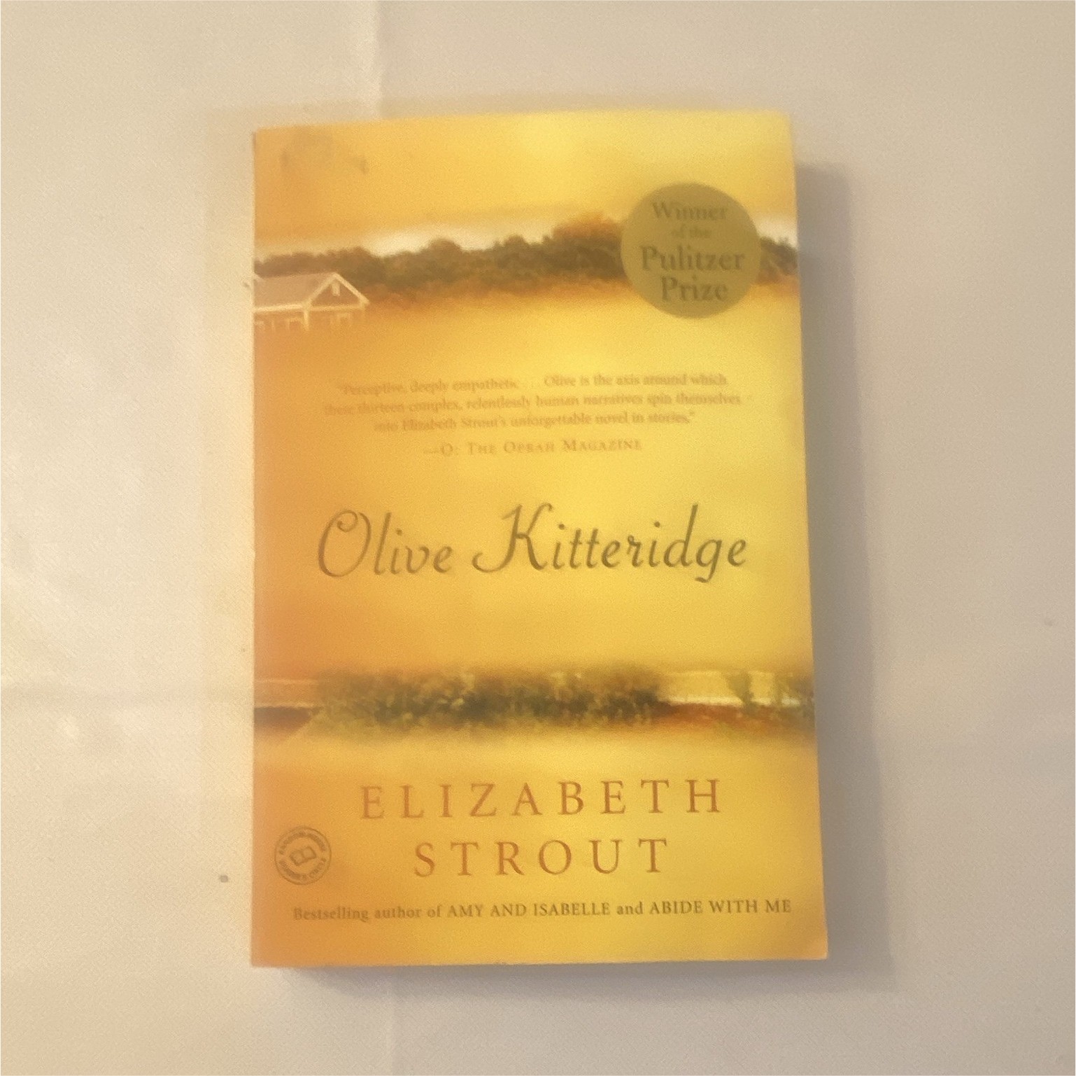 Elizabeth Strout Olive Kitteridge Trade Paperback English Pulitzer
