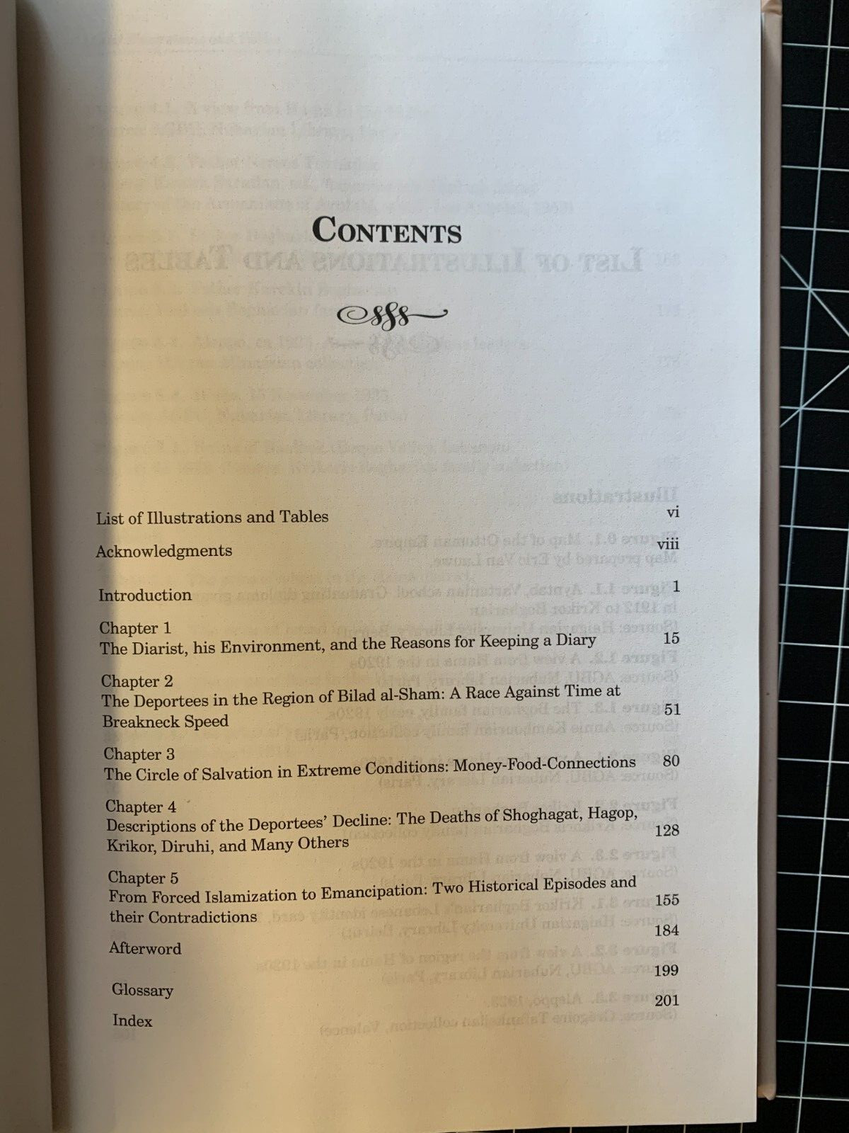 Daily Life in the Abyss: Genocide Diaries, 1915–1918 by Vahé Tachjian