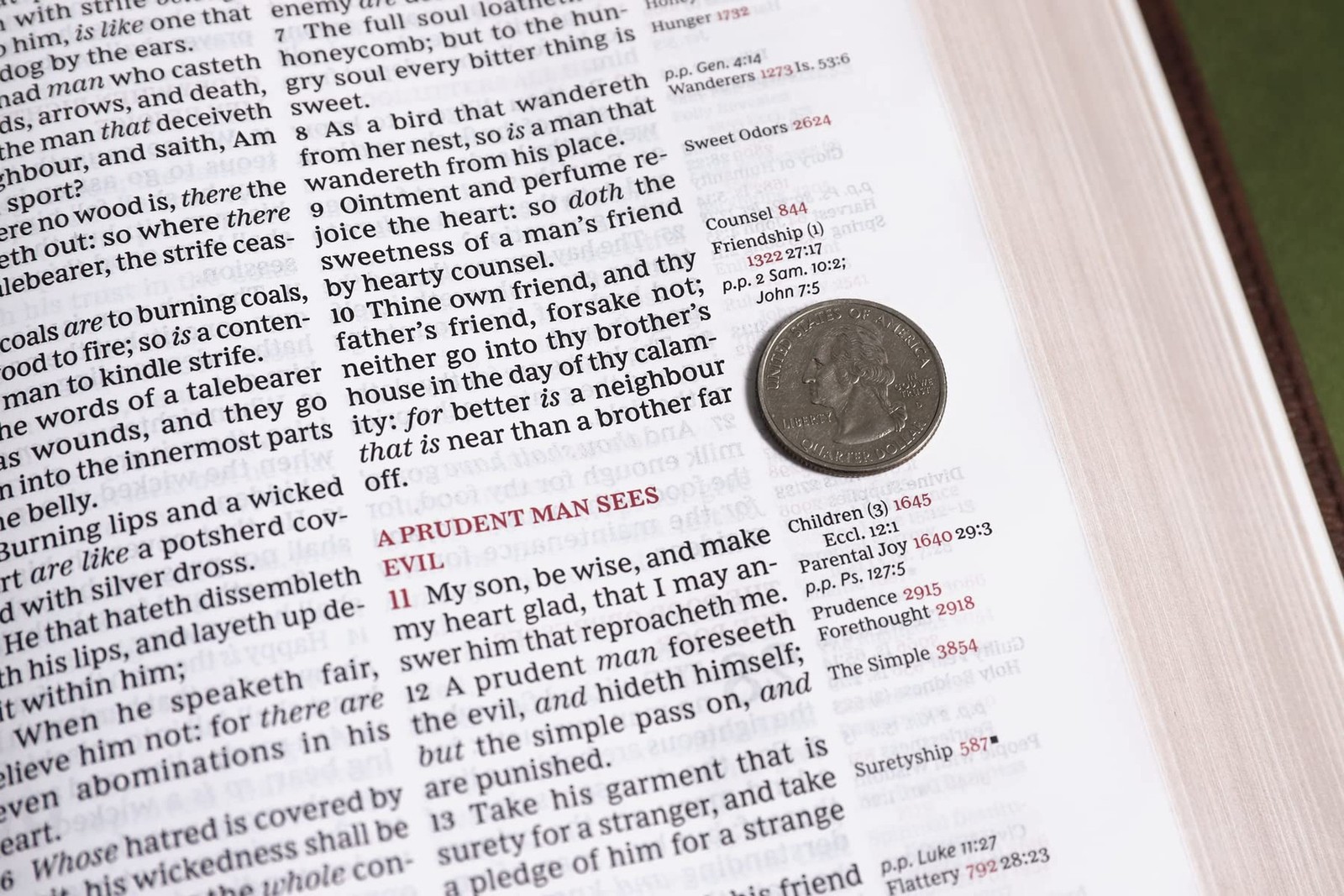 KJV, Thompson Chain-Reference Bible, Large Print, Leathersoft, Brown, Red Let…