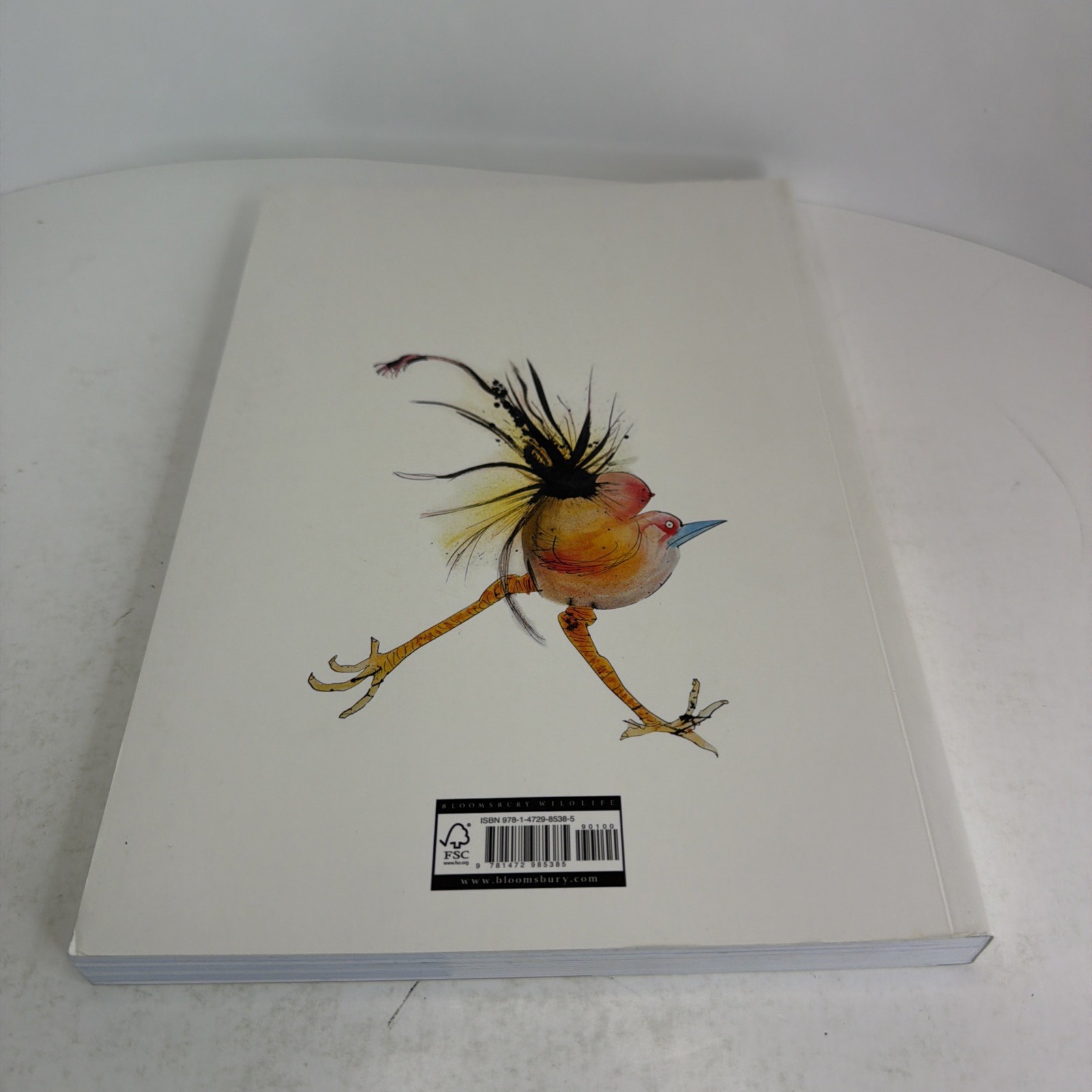 Nextinction by Ralph Steadman 2020 Paperback