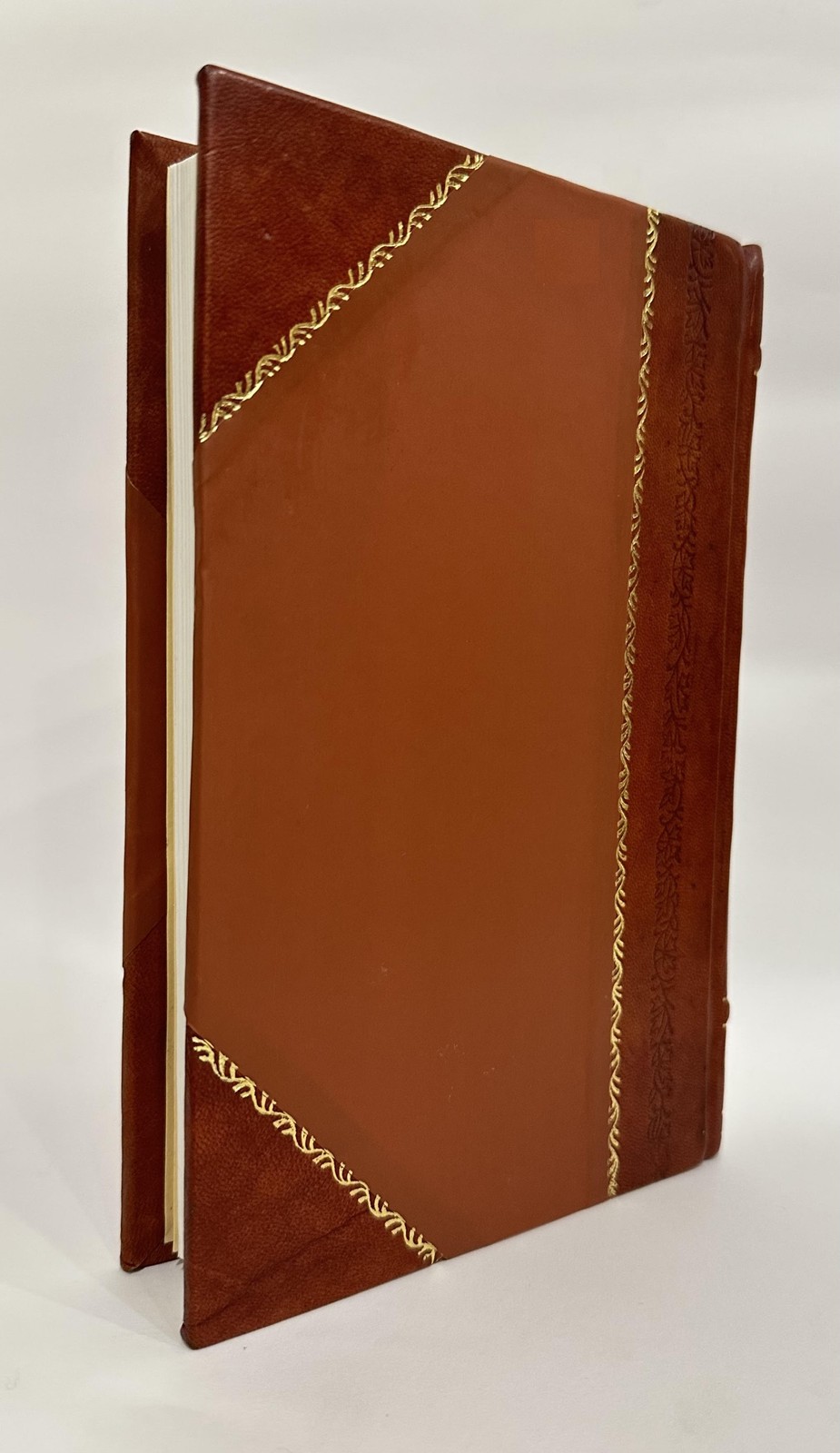 An Exposure of the Causes of the Present Deteriorated Condition [Leather Bound]