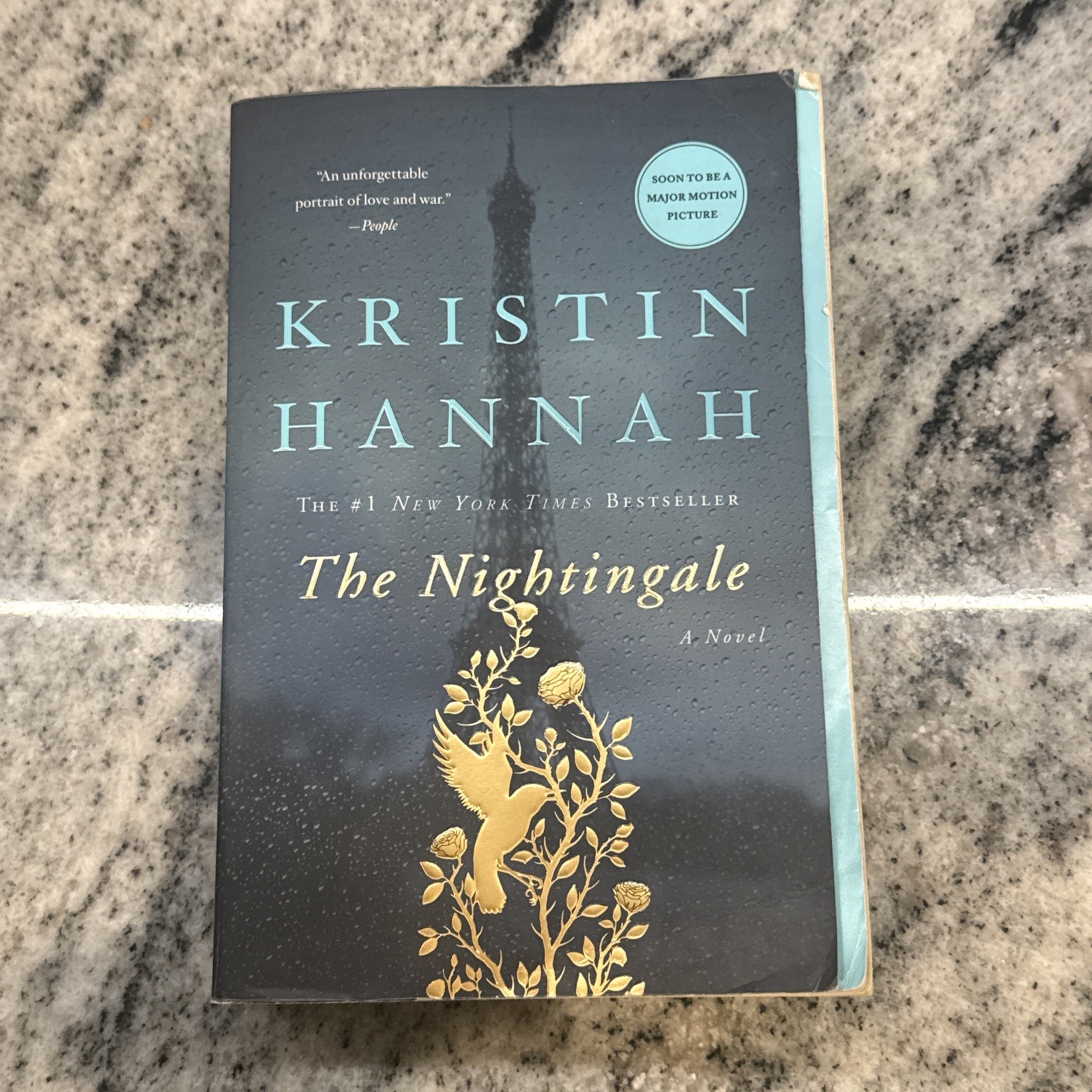 The Nightingale by Kristin Hannah: EUC