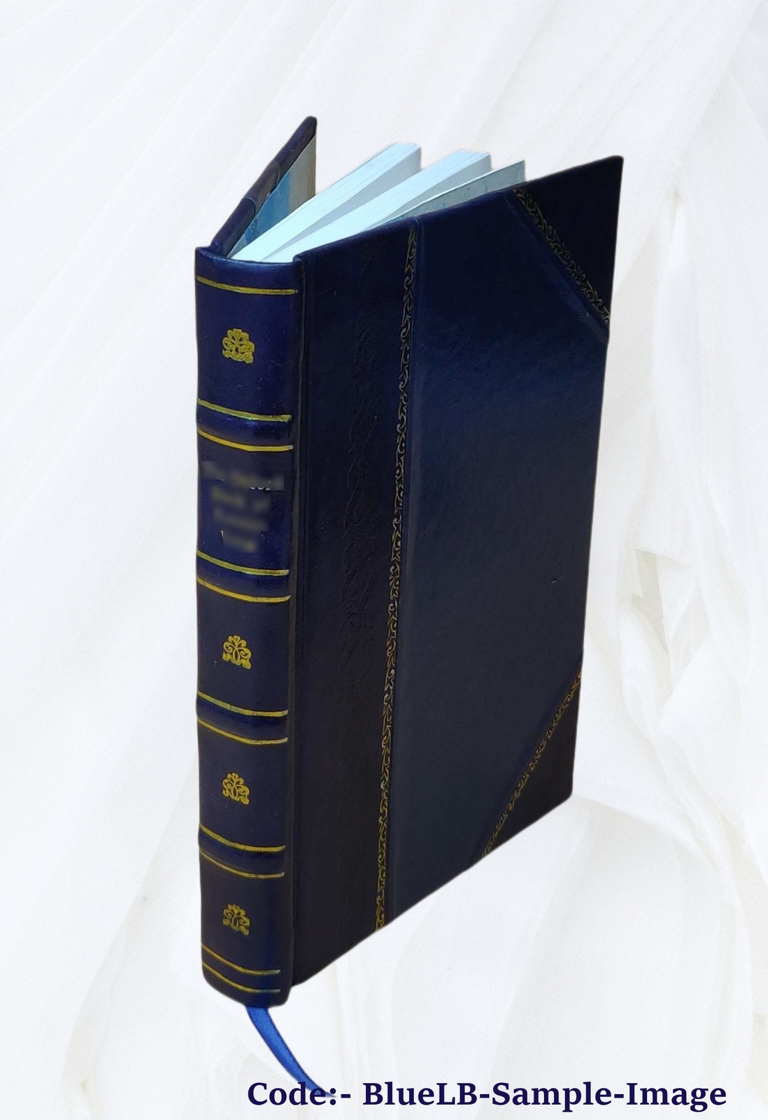 History Of The Ruthrauffs, 1560-1925 / By Mary Ruthrauff Hoover. [Leather Bound]