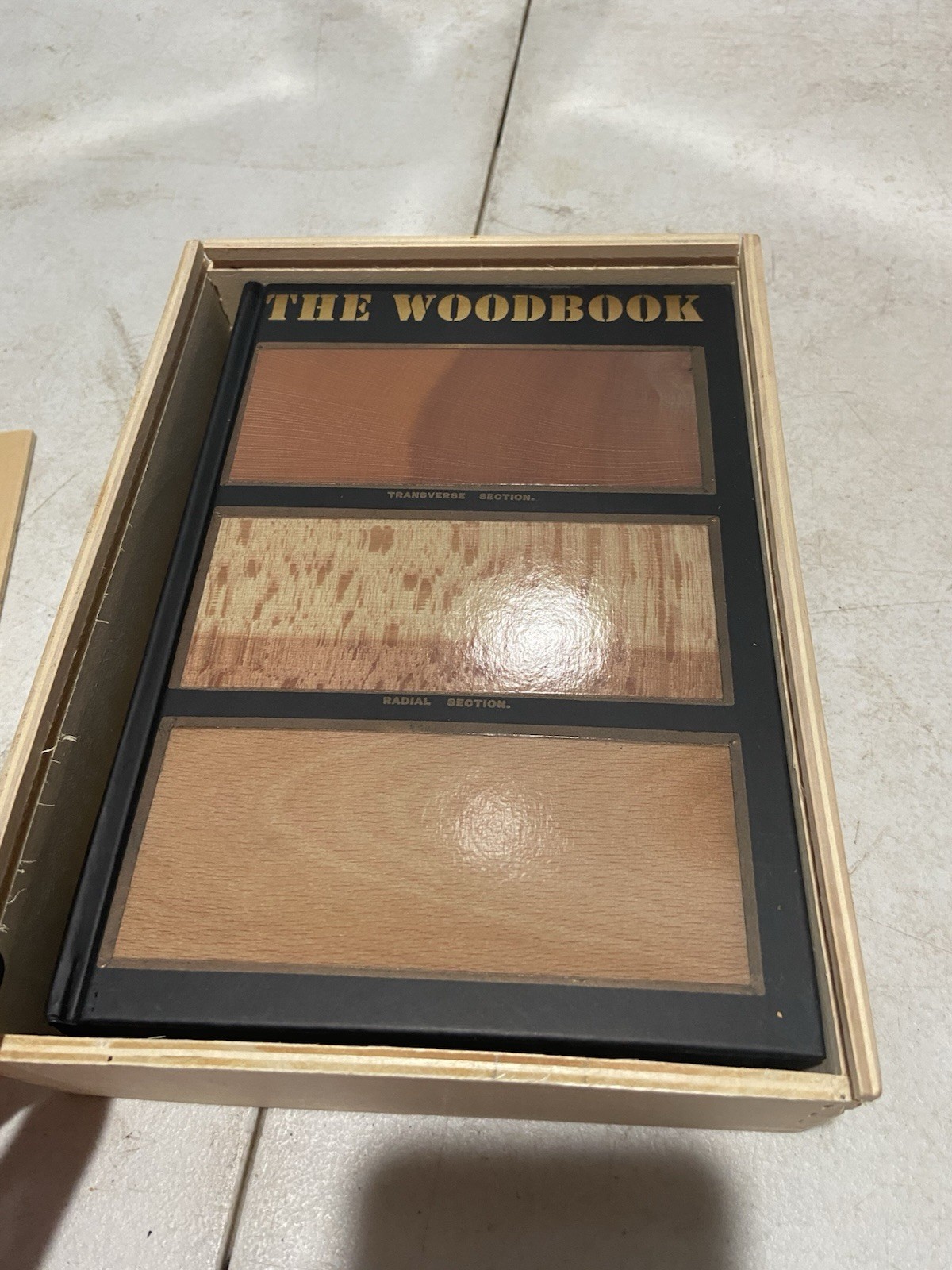 The Wood Book Taschen Wooden Slipcase Reprint Romeyn Beck Hough Art Botany