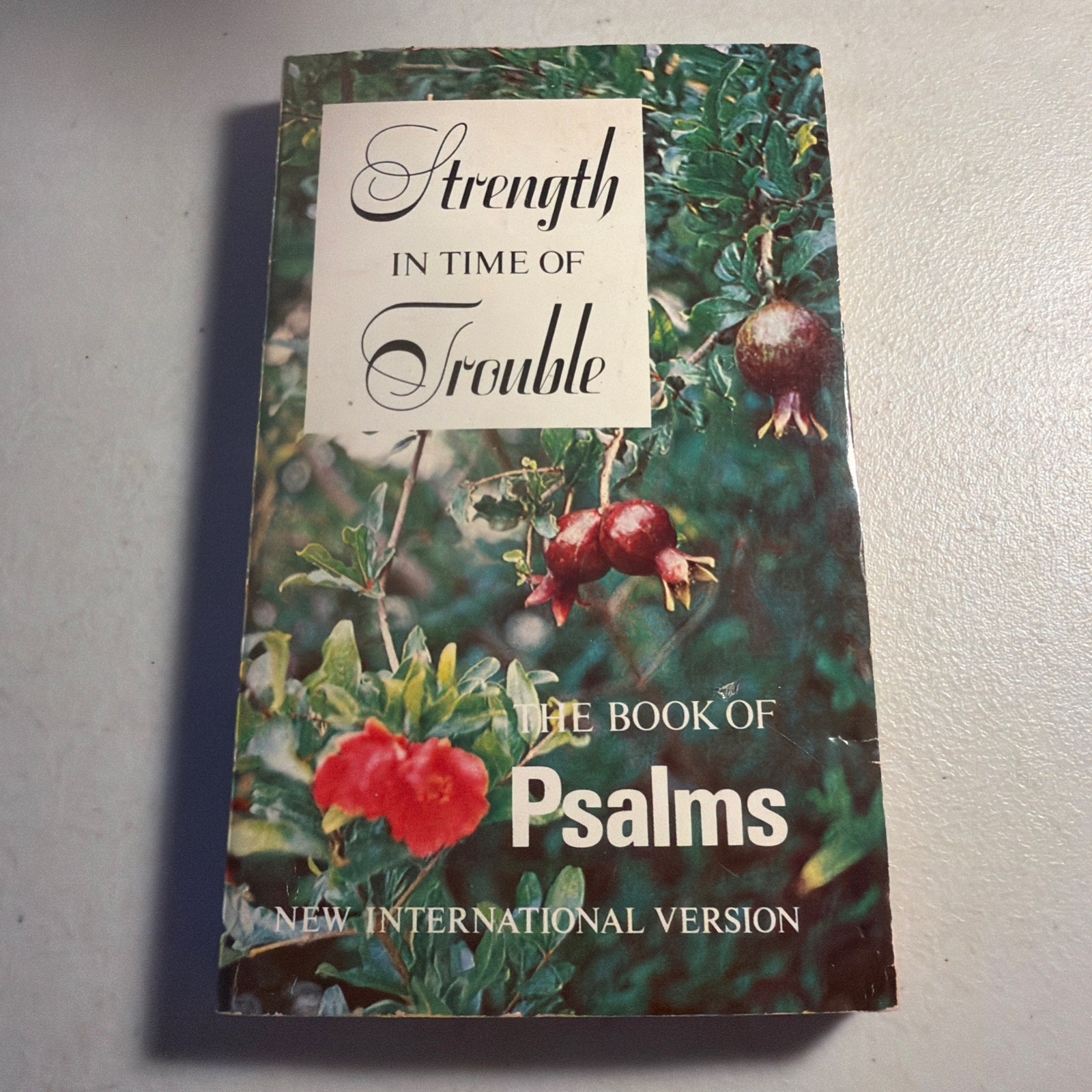 Strength in Time of Trouble: The Book of Psalms – 1978 Paperback