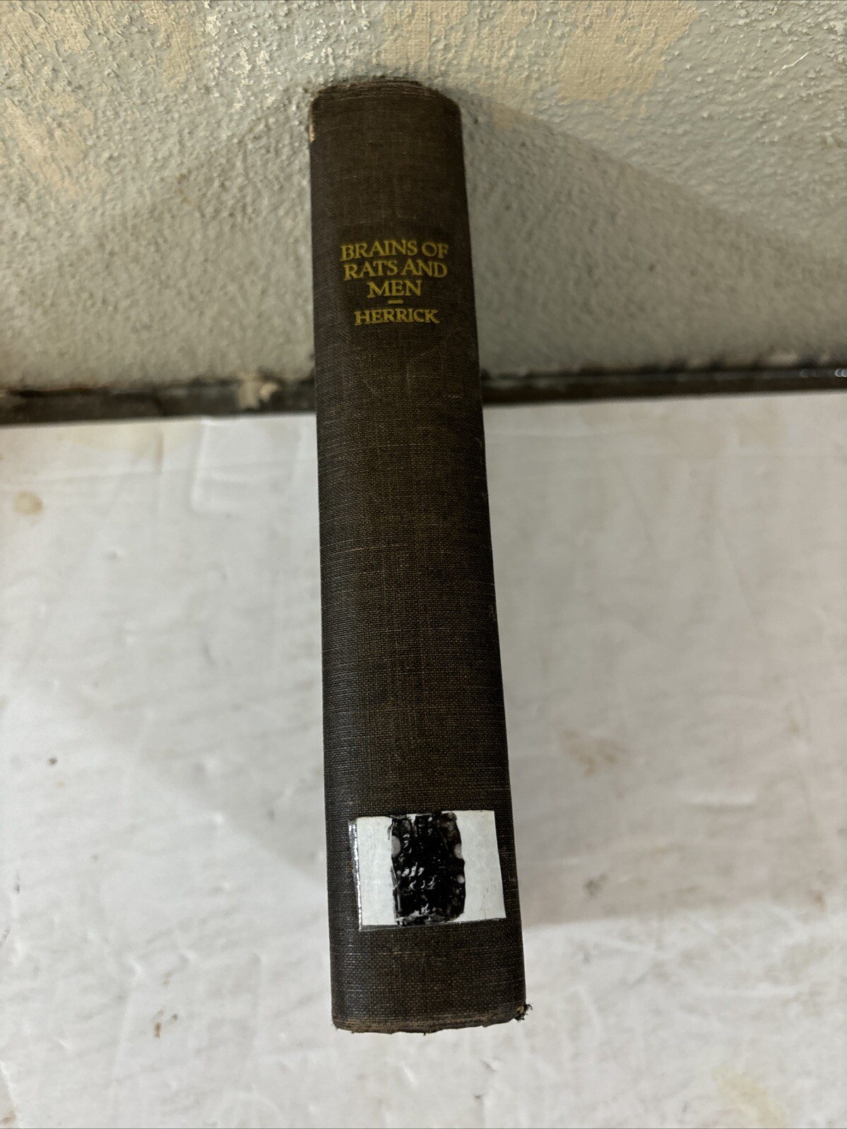 Brains of Rats and Men By C. Judson Herrick 1926 Hardcover University Of Chicago