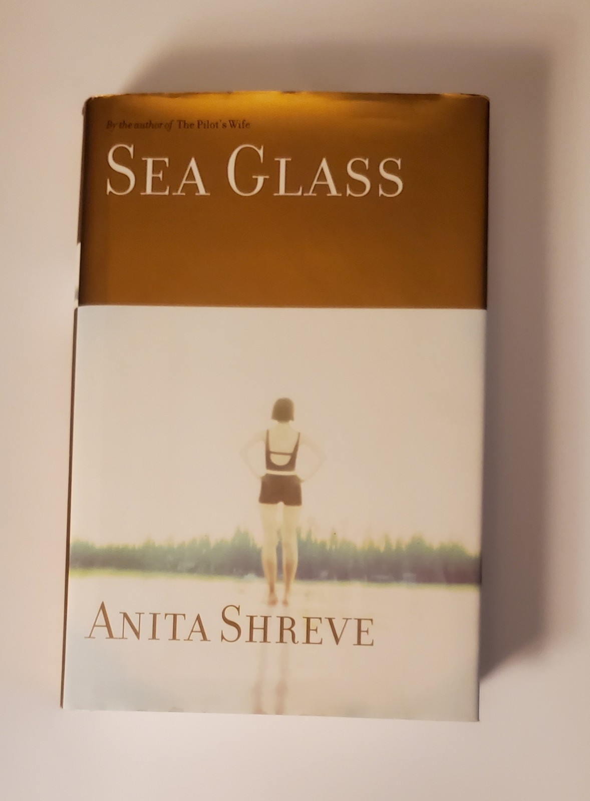 Sea Glass by Anita Shreve (2002, Hardcover)