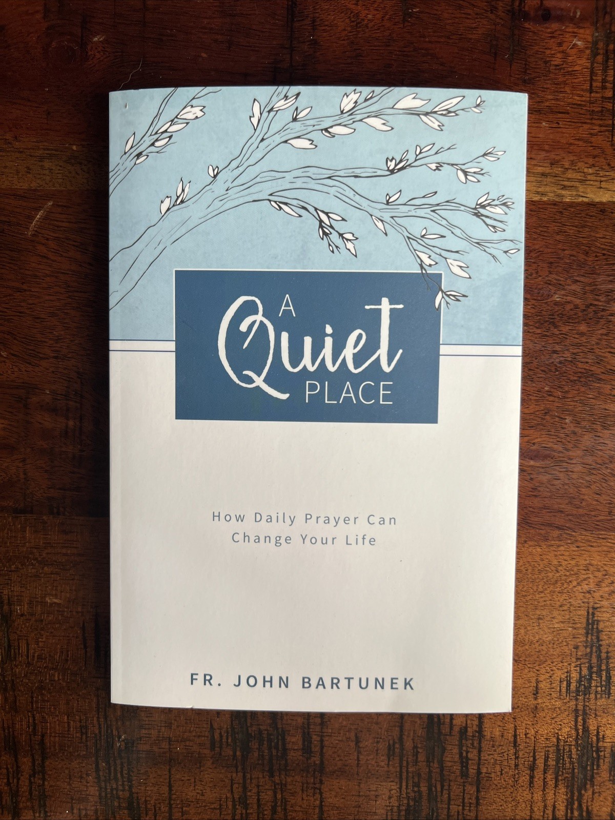 A Quiet Place: How Daily Prayer Can Change Your Life – Fr. John Bartunek – G…
