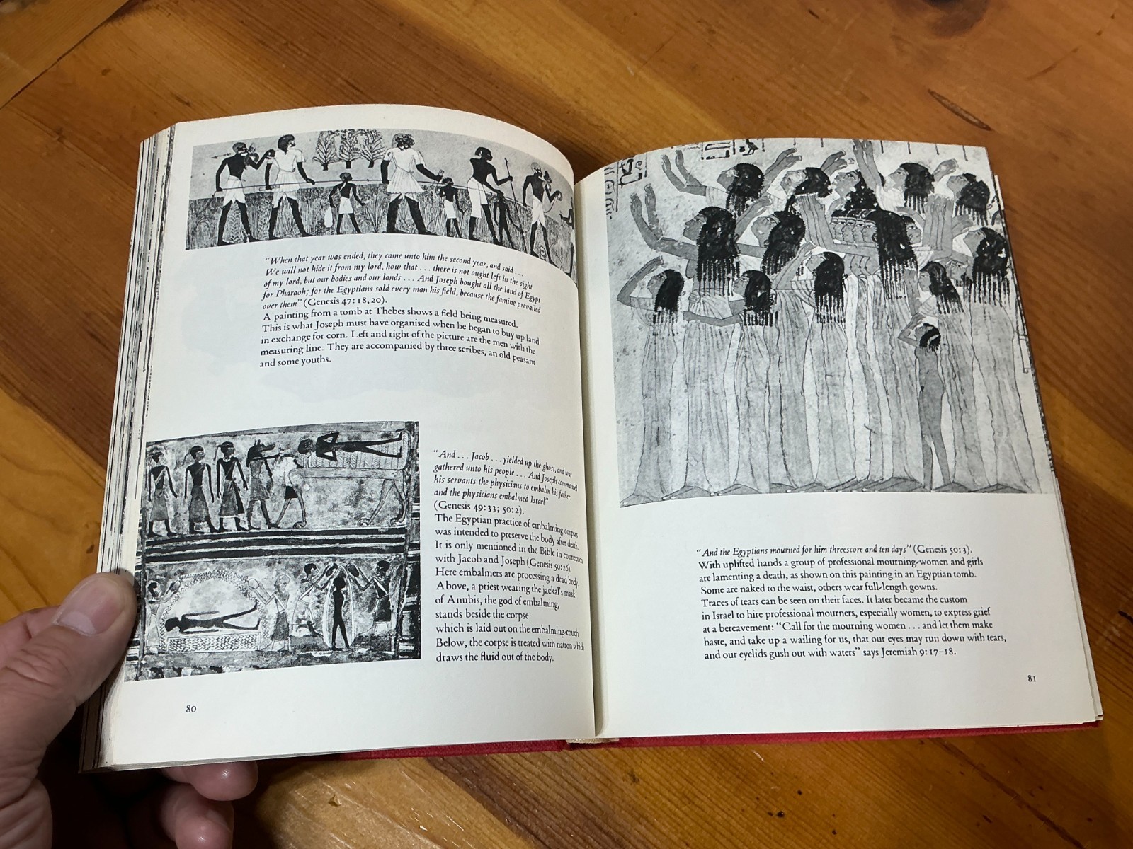 The Bible as History in Pictures by Werner Keller 329 Illustrations 1964 HC/DJ