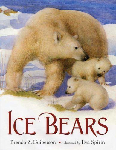 Ice Bears by Guiberson, Brenda Z. Henry Holt and Co. (BYR)