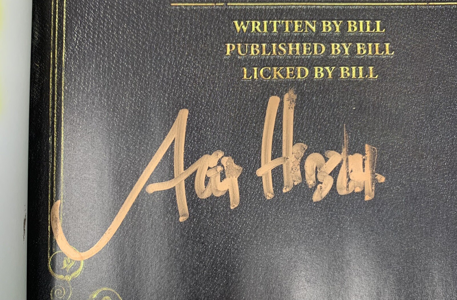 Rare Alex Hirsch Signed Autographed The Book of Bill Barnes Noble Full Signature
