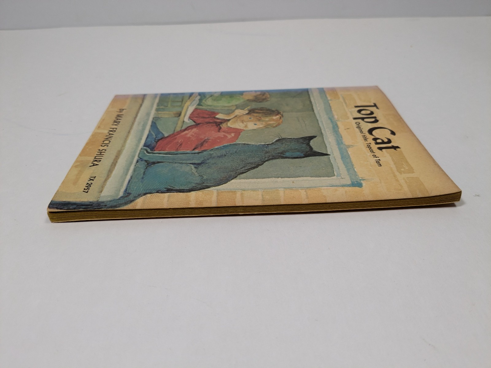 Top Cat by Mary Francis Shura Vintage Paperback Book Children’s Illustrated