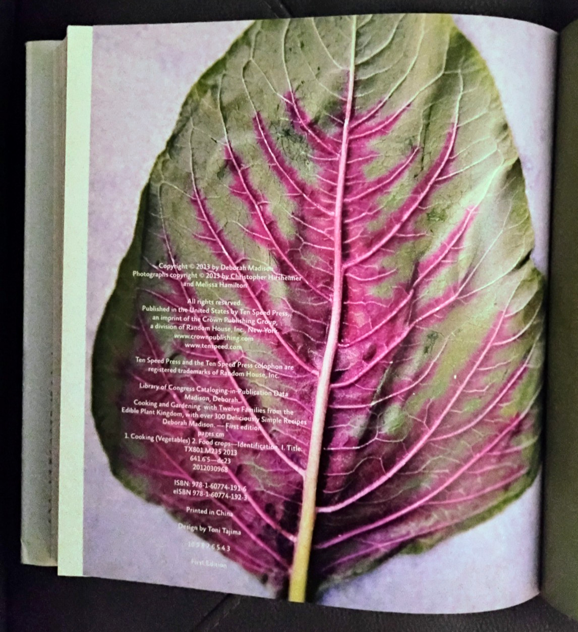 Vegetable Literacy by Deborah Madison VG HC DJ Ten Speed Press 2013