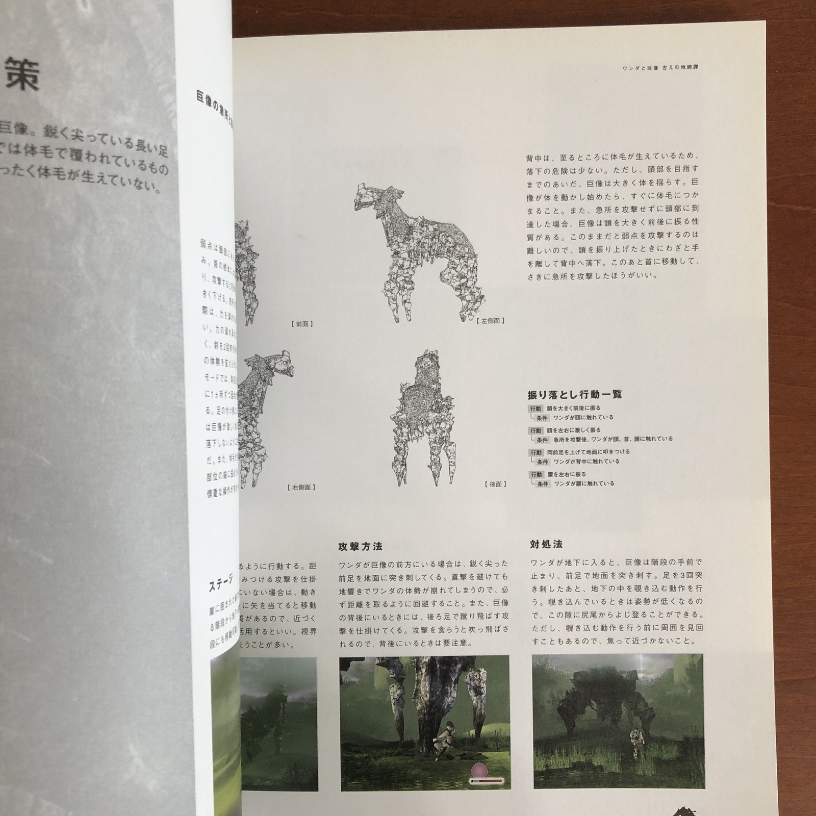 Shadow of the Colossus Art Book Illustration