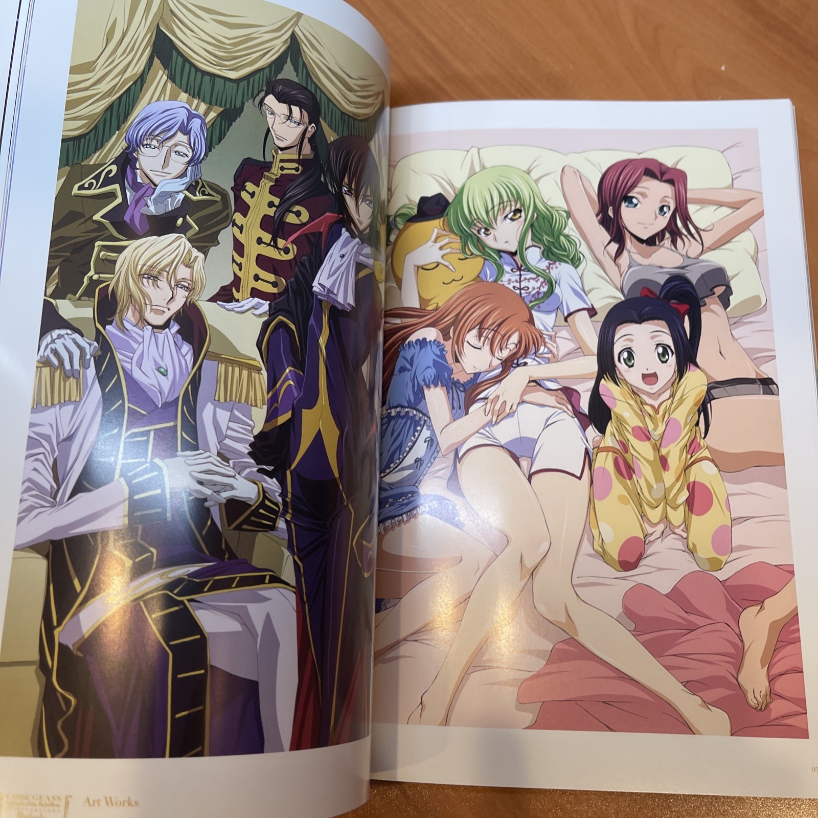CODE GEASS Lelouch of the Rebellion Illustrations Rebels Manga Anime Japanese