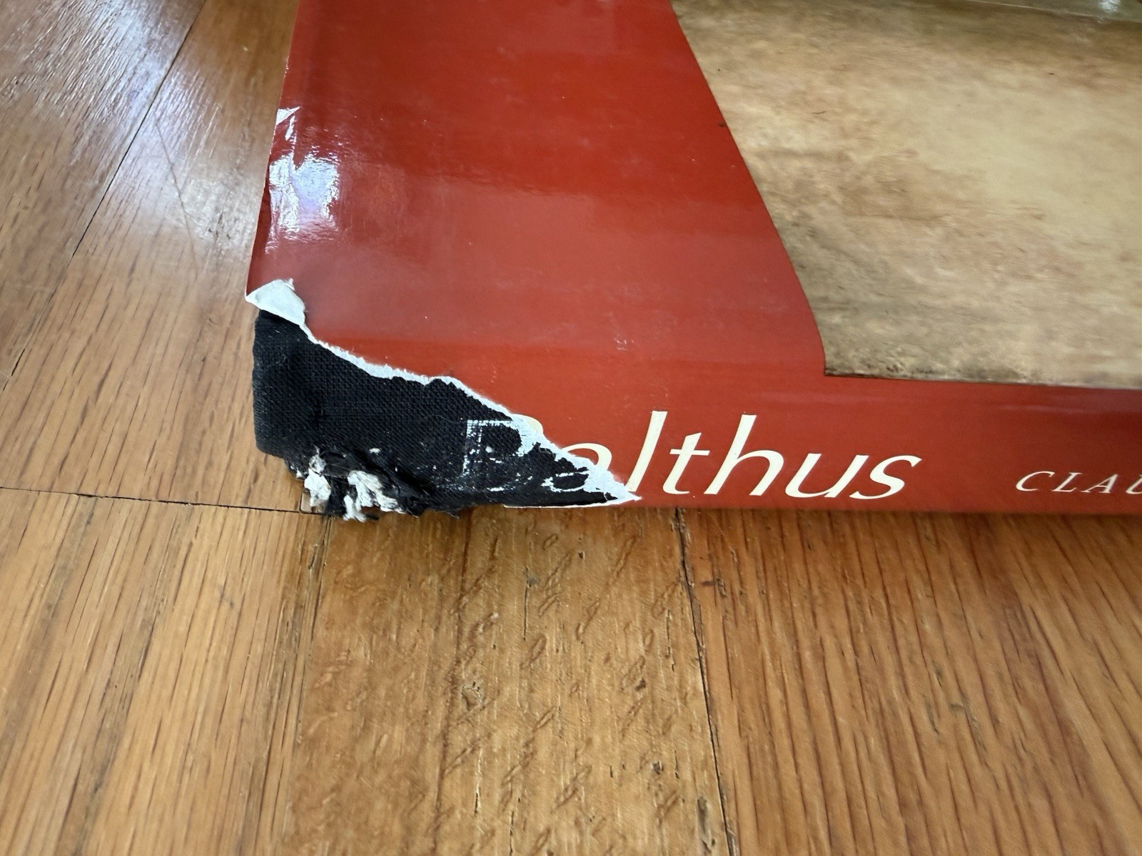 Balthus Hardcover Claude Roy