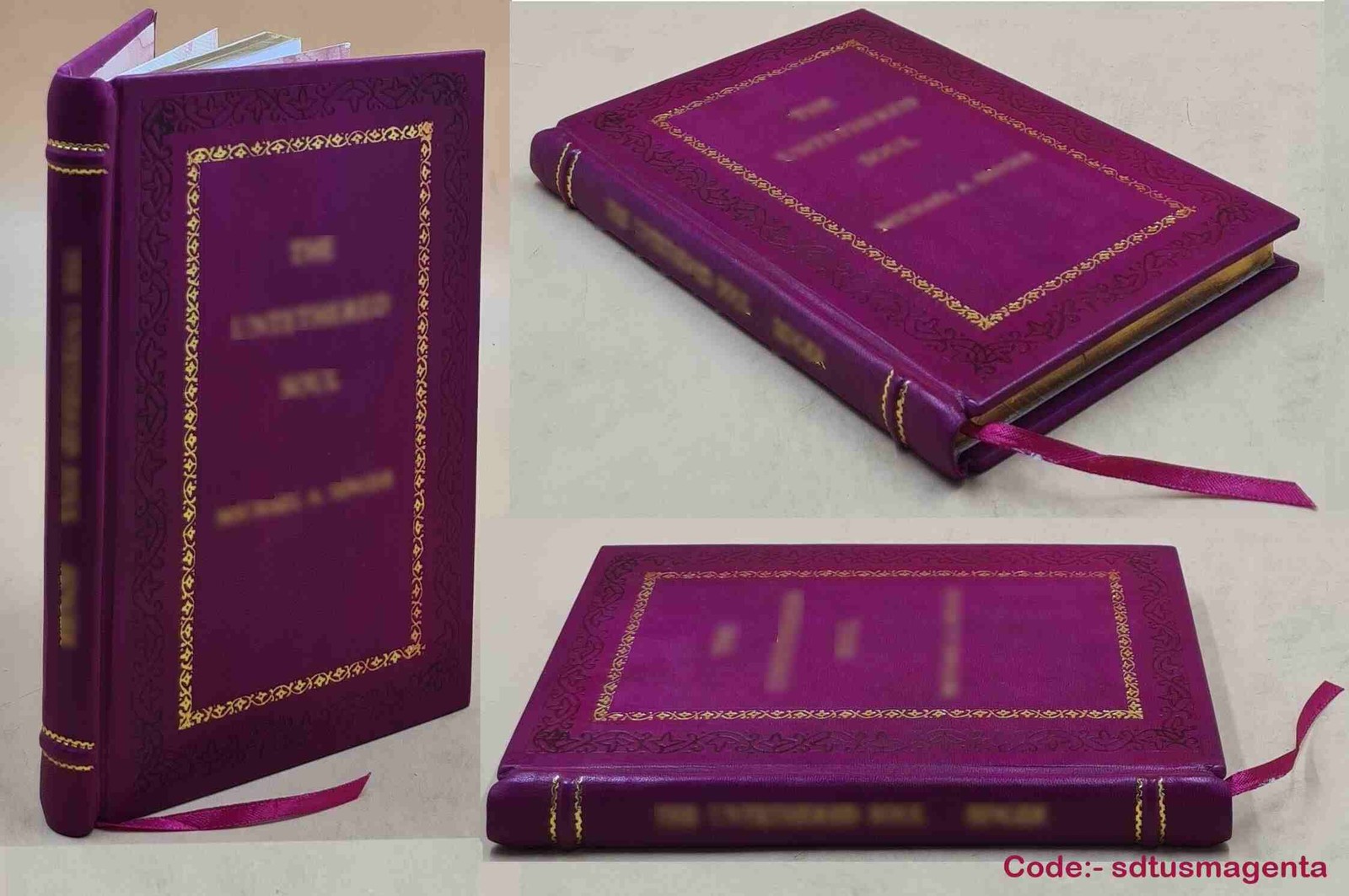 Sunisa Lee BY Loh-Hagan, Virginia Bane, Jeff [Premium Leather Bound]
