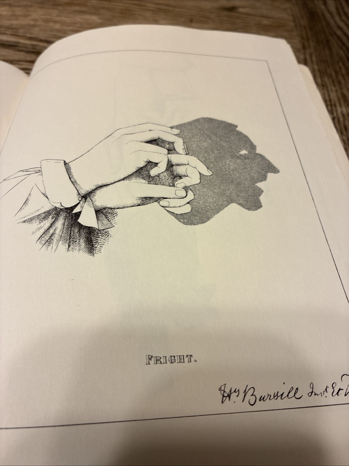 More Hand Shadows to Be Thrown upon a Wall by Henry Bursill (Trade Paperback)