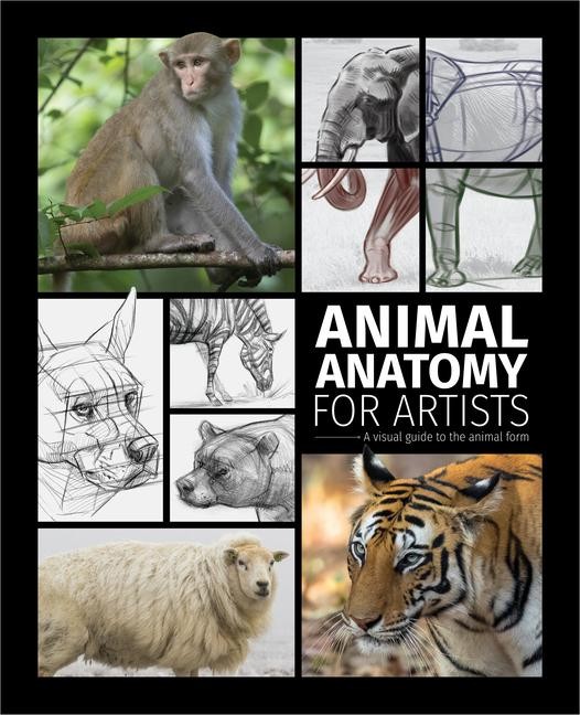 3dtotal Publishing Animal Anatomy for Artists