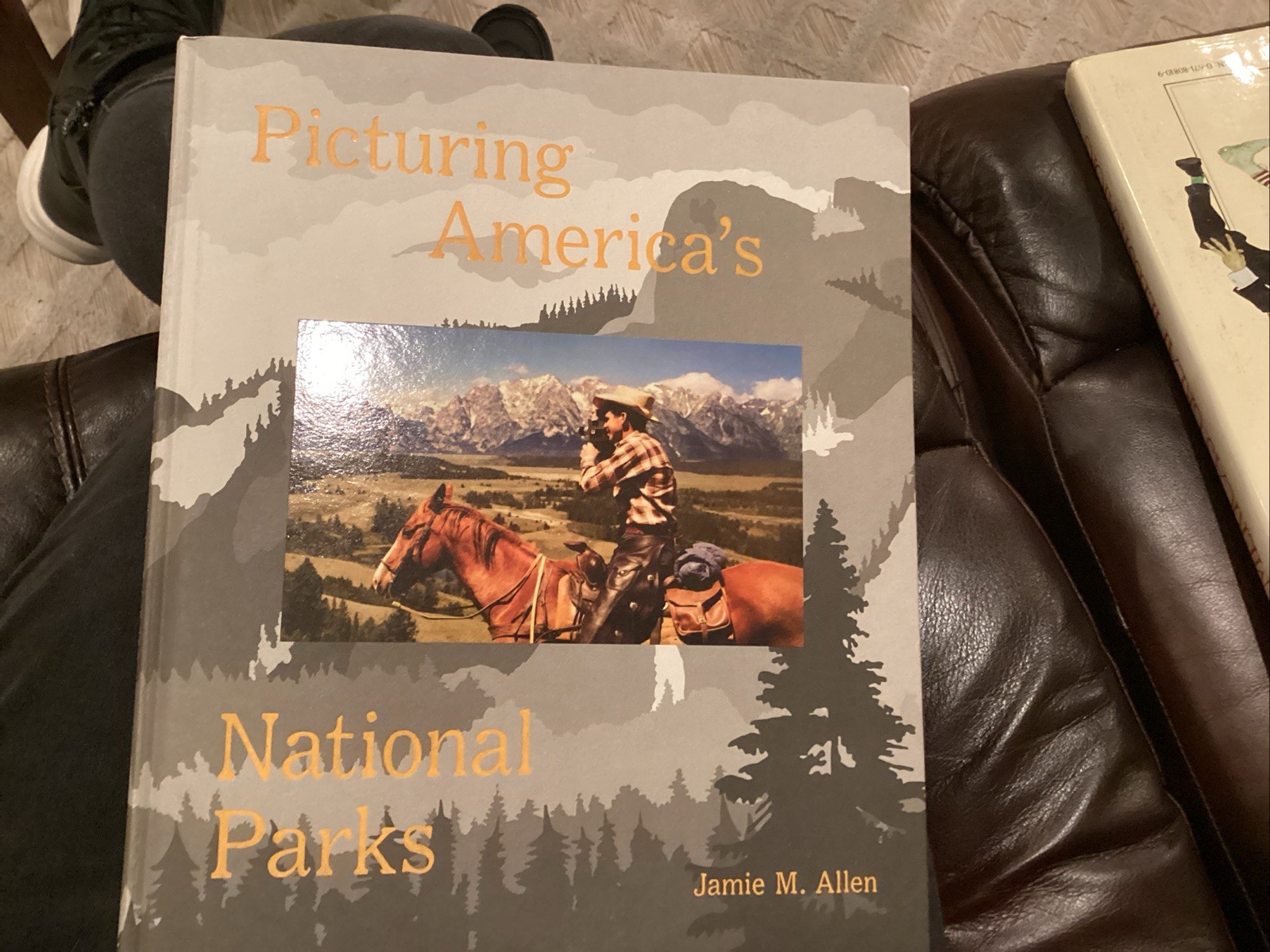 Picturing America’s National Parks by Jamie M. Allen (2016, Hardcover)