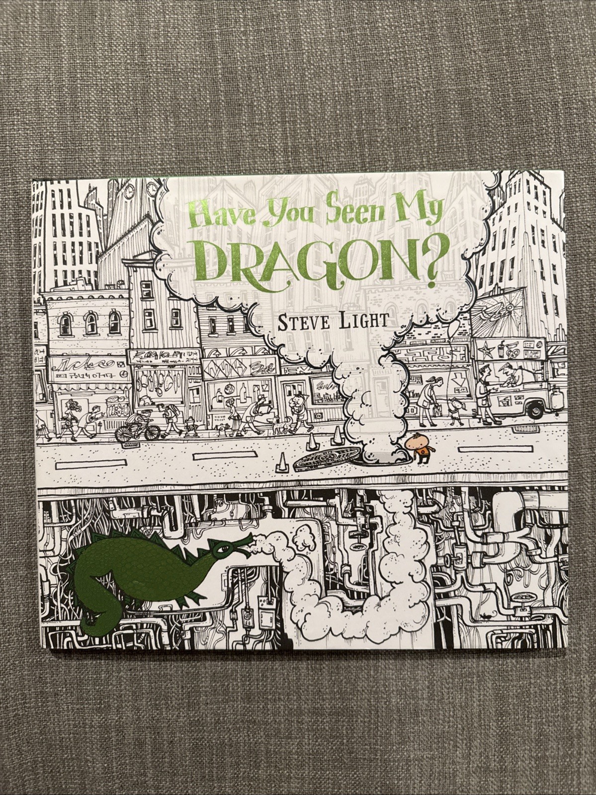 Have You Seen My Dragon? by Steve Light (2014, Picture Book)