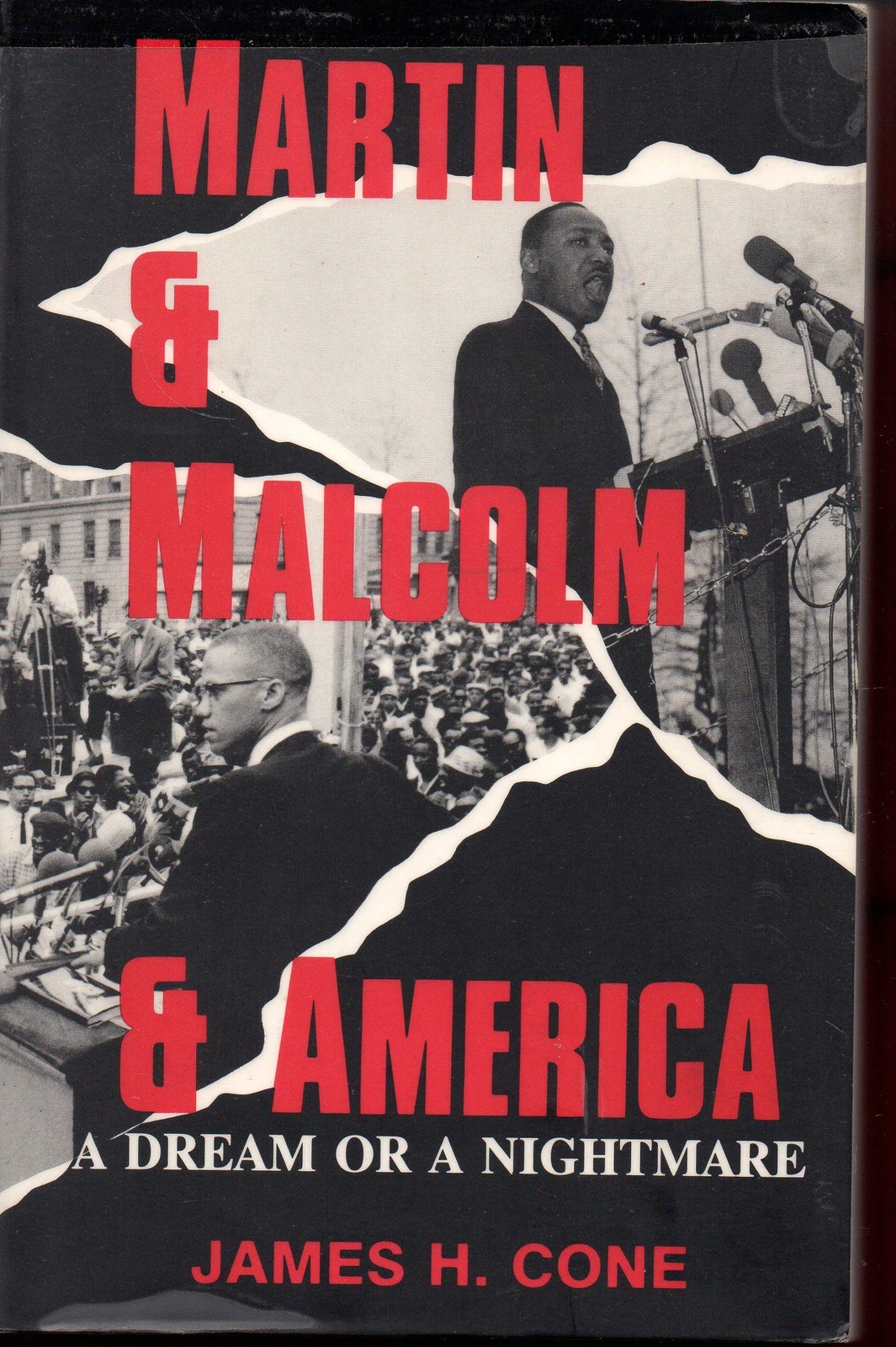 Martin & Malcolm & America: A Dream or a Nightmare