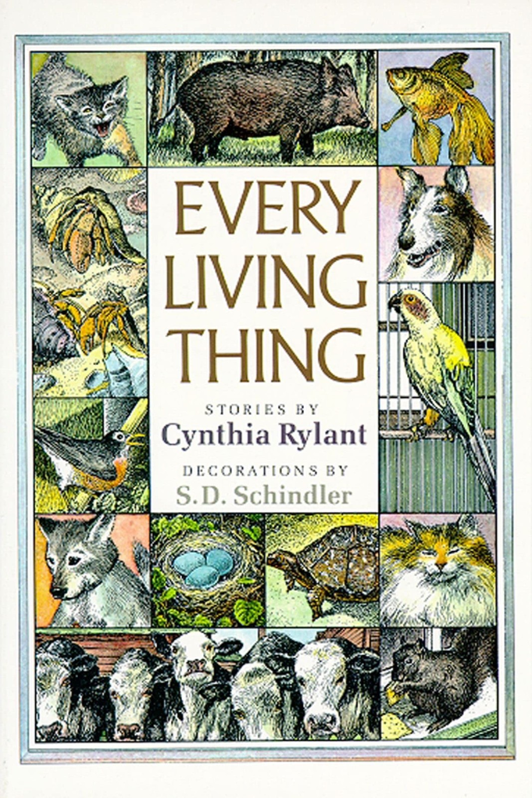 Every Living Thing – Rylant, Cynthia|Schindler, S.D. – Very Good – See condi…
