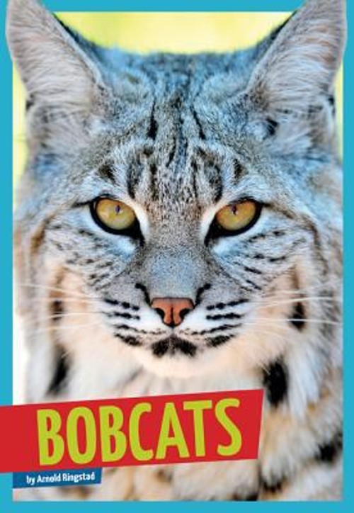 Bobcats Hardcover Arnold Ringstad