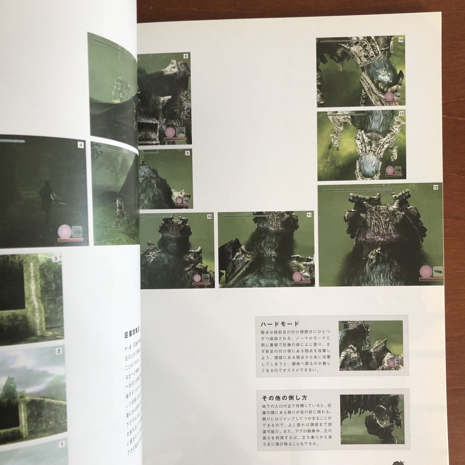 Shadow of the Colossus Art Book Illustration