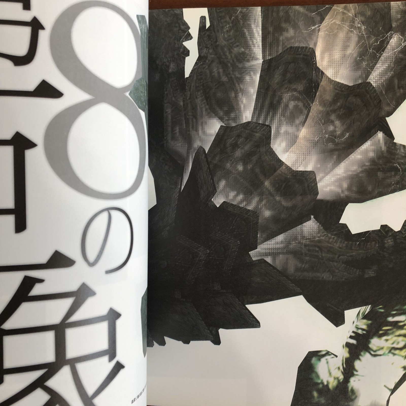 Shadow of the Colossus Art Book Illustration