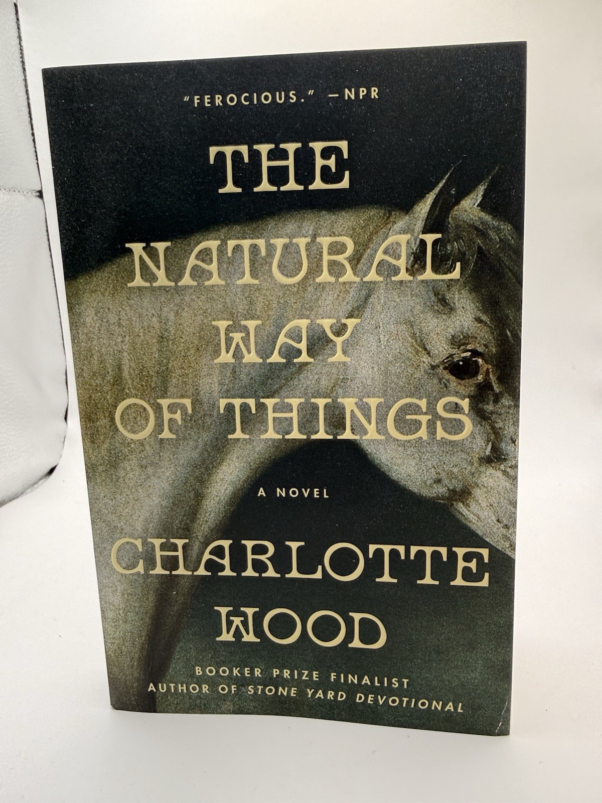 The Natural Way Of Things by Charlotte Wood (Brand New Paperback, 2026 Edition)
