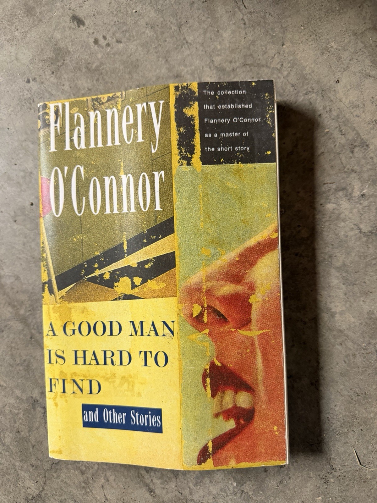 A Good Man Is Hard to Find and Other Stories by Flannery O’Connor