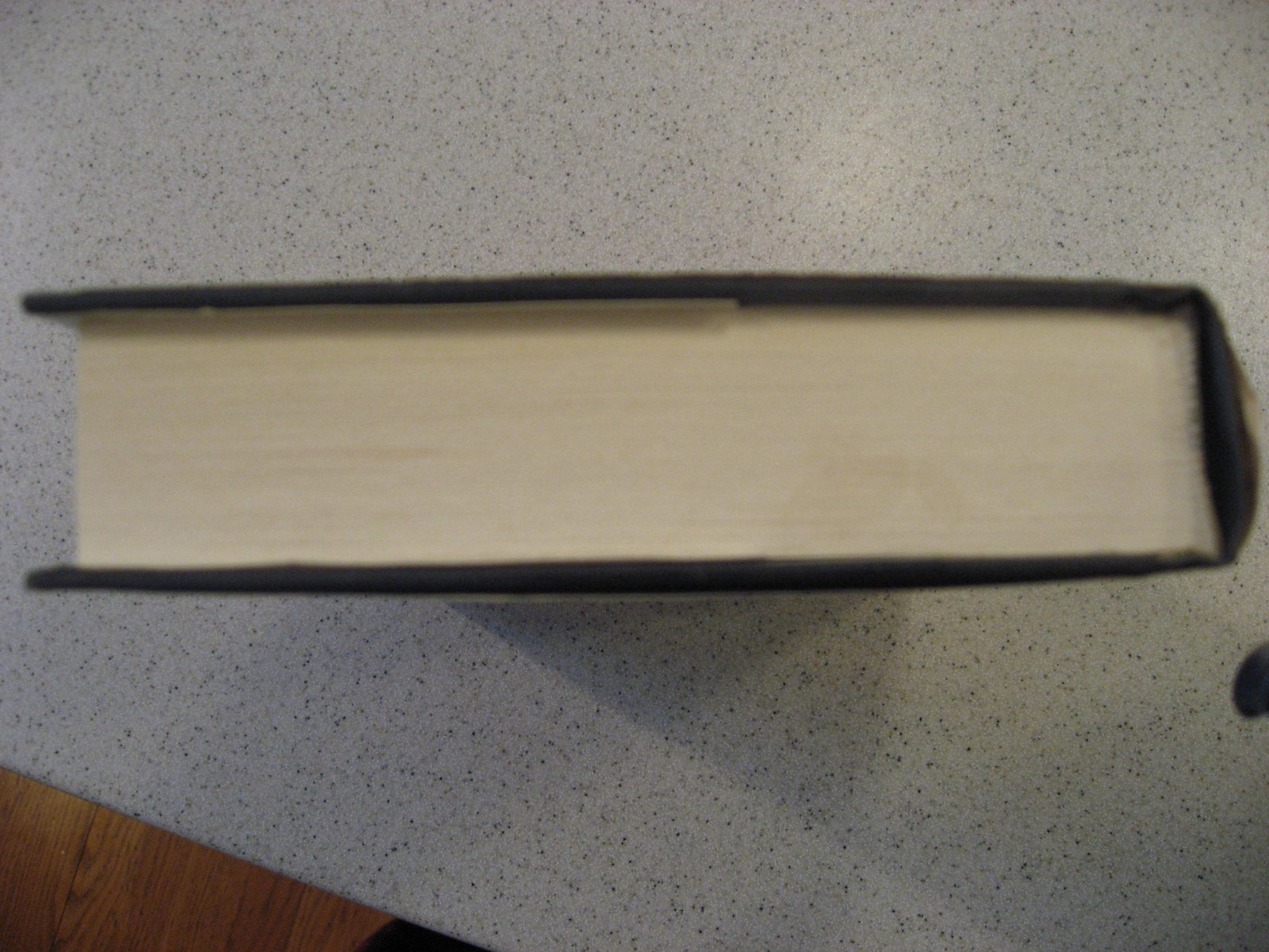 By The Sword by Mercedes Lackey Hardcover DAW No. 840 1991 1st Edition