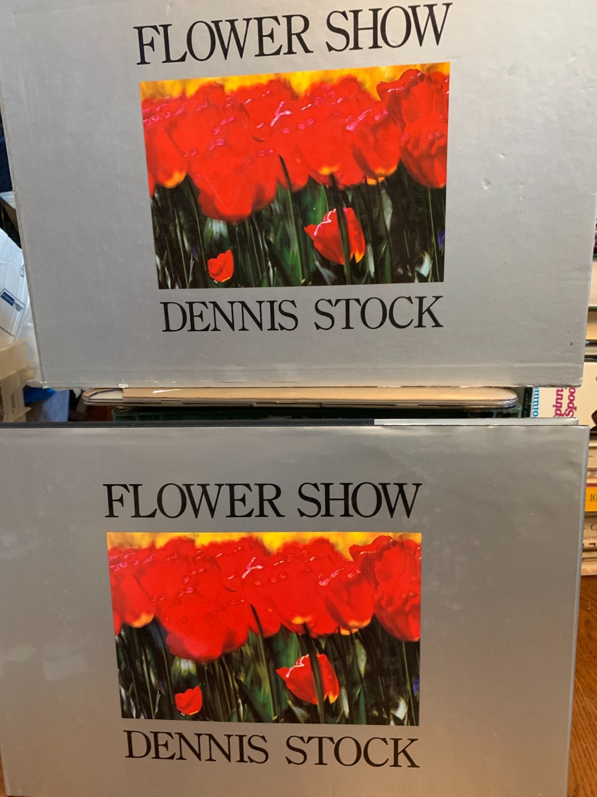 Flower Show Dennis Stock 1986 HC DJ Large Format Photography Rizzoli 1st w/case