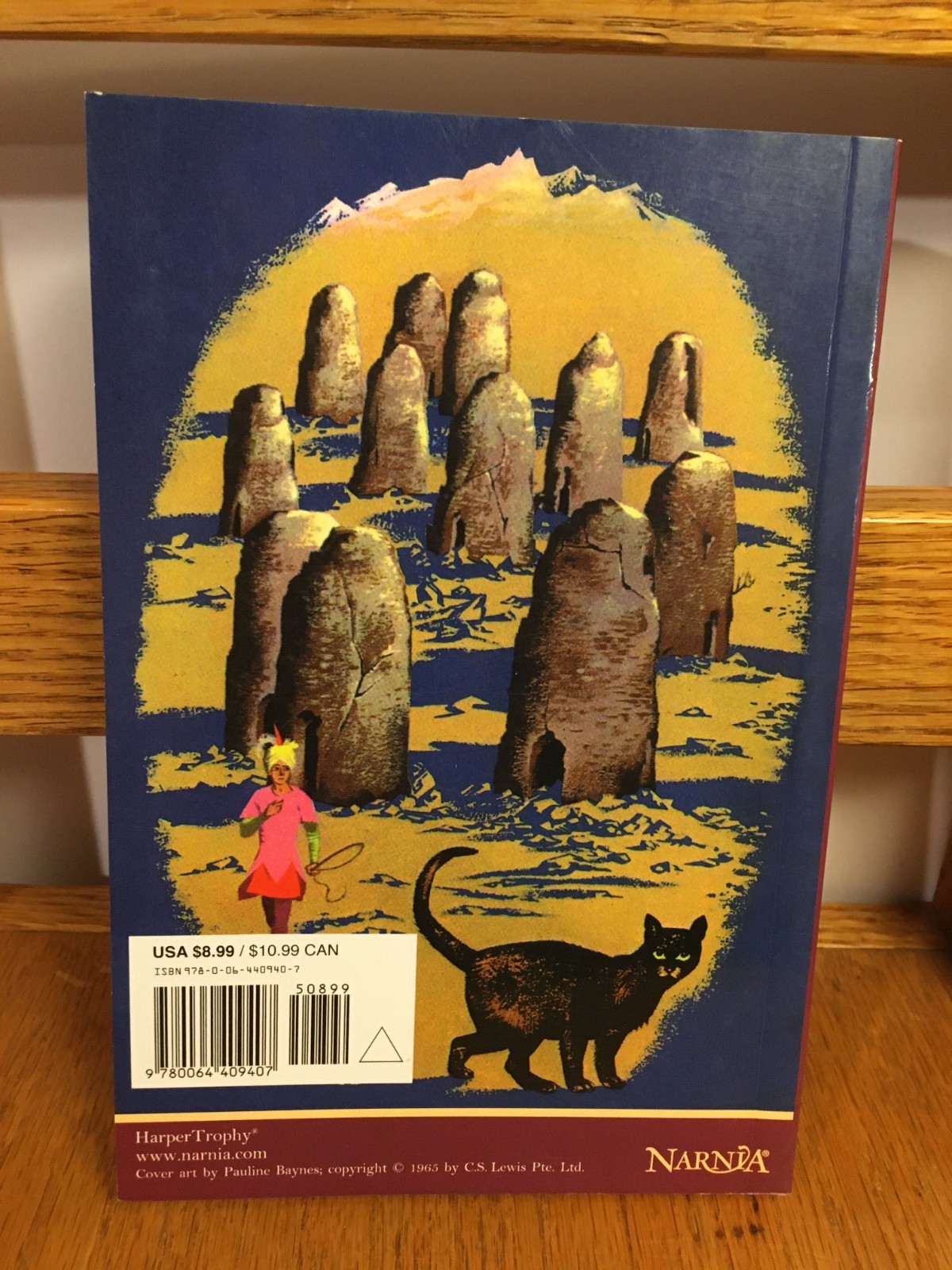The Horse and His Boy 2000 C S Lewis Illustrated Paperback Full Color Edition