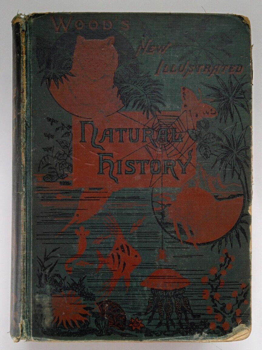 The New Illustrated Natural History (in one Volume) by J. G. Wood (David McKay)