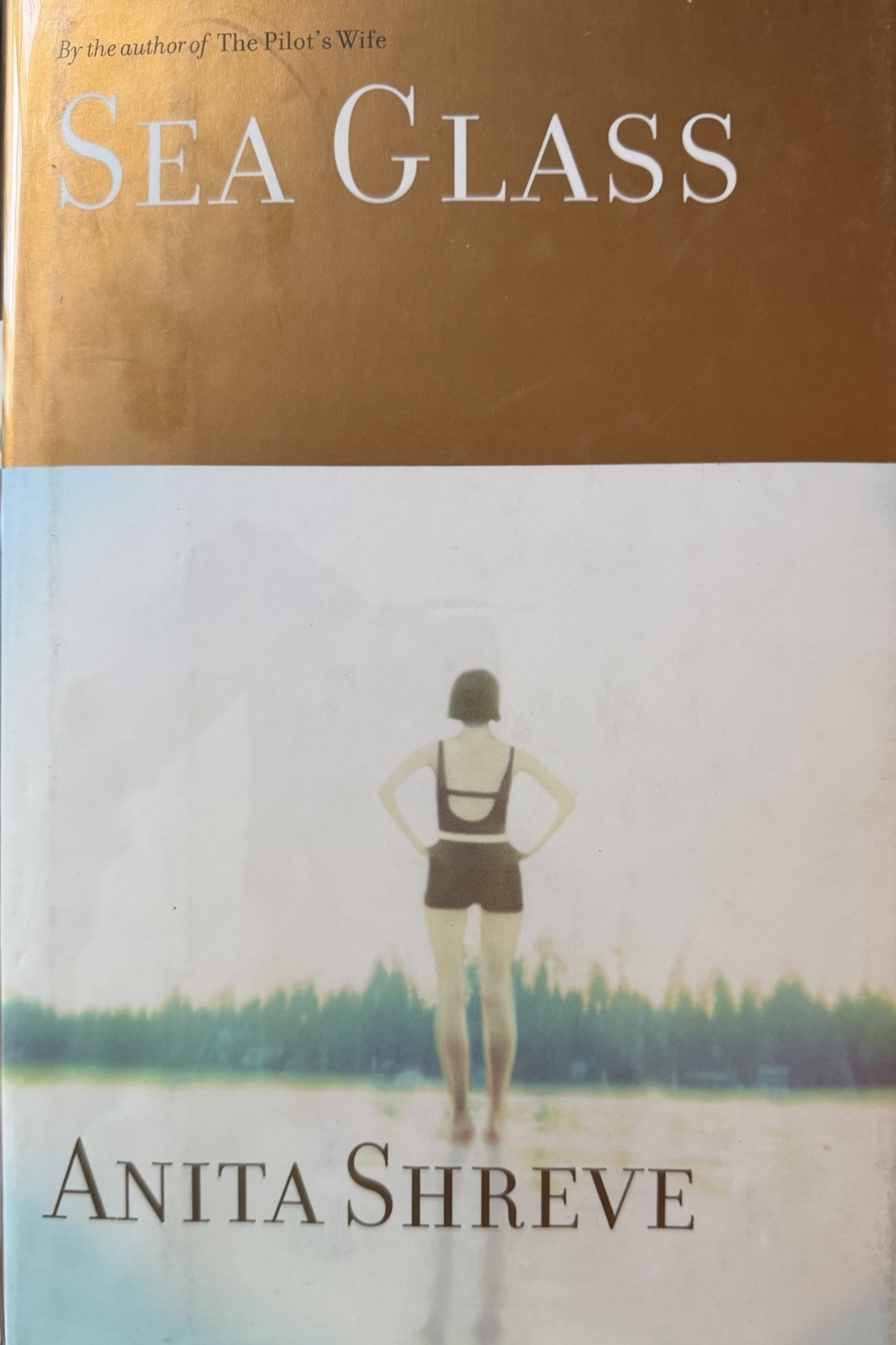 Sea Glass by Anita Shreve Signed First Edition 2002 HC w/dj