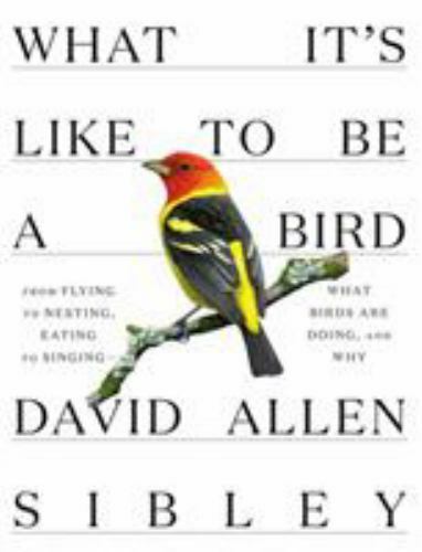 What It’s Like to Be a Bird by David Allen Sibley (2020, Hardcover)