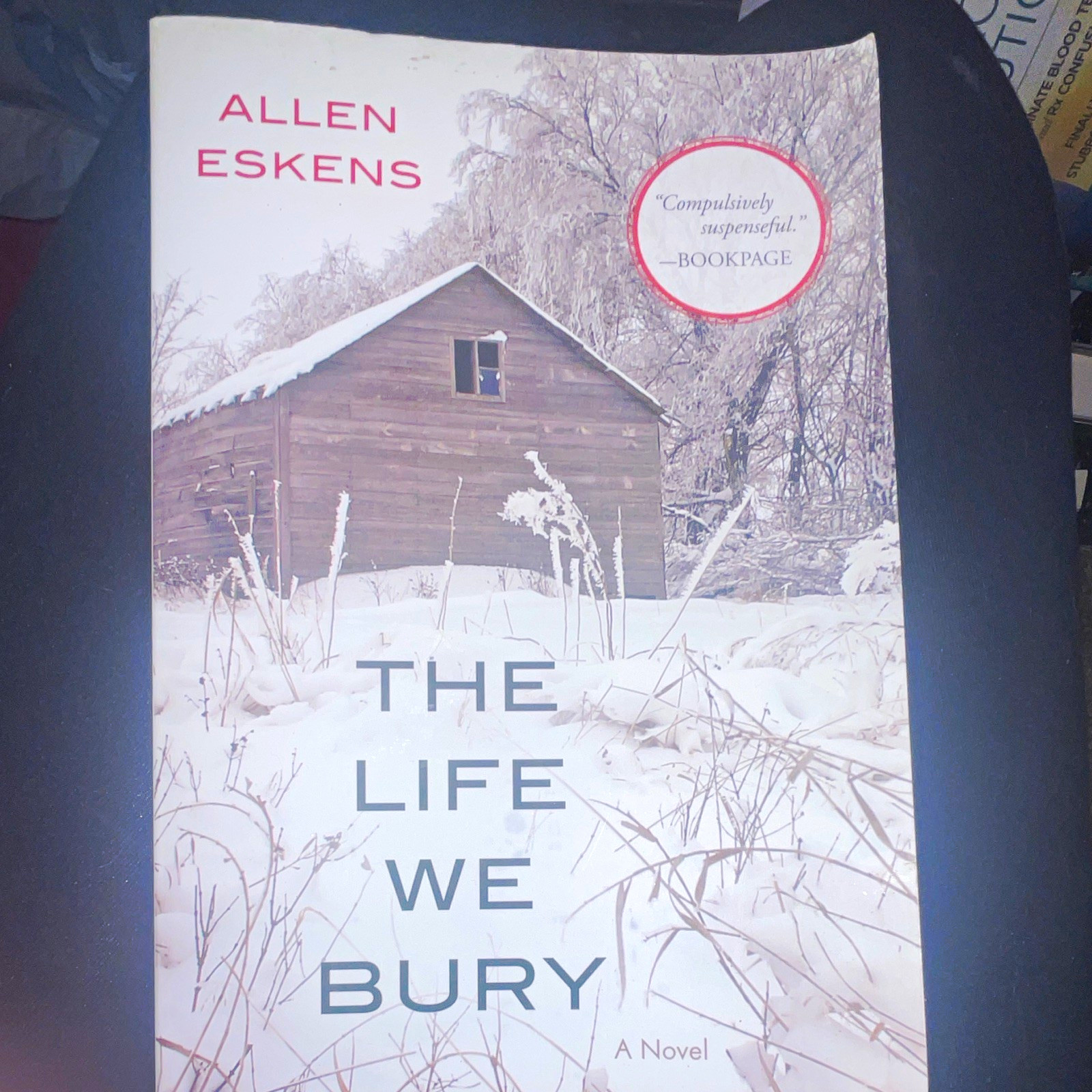 The Life We Bury by Allen Eskens Paperback Fiction Suspense Novel