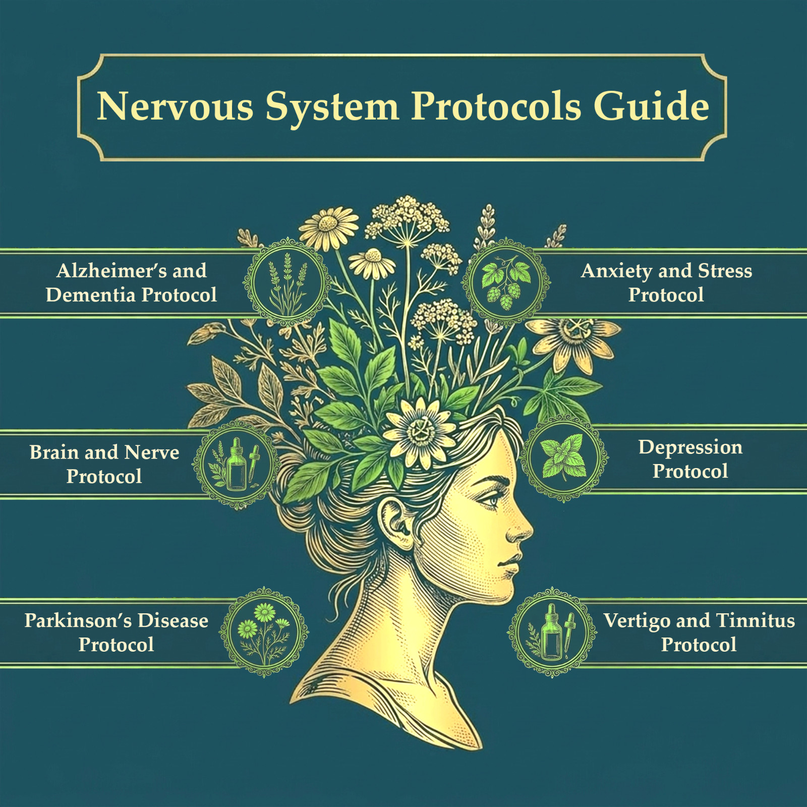 The Holistic Guide to Wellness (paperback with color pictures)