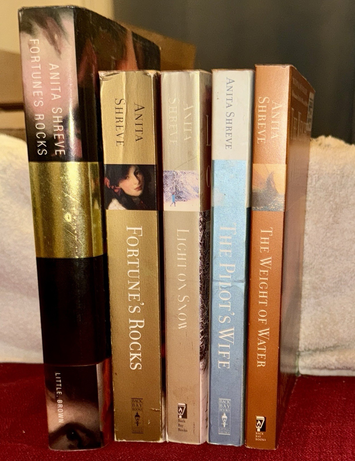 Anita Shreve Fiction Lot Of 5 HC & Paperbacks Good To VG Condition