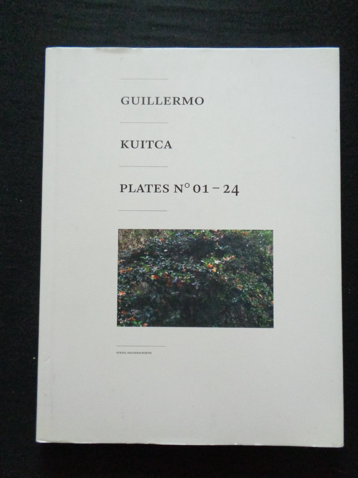 Guillermo Kuitca: Plates No. 01-24 by Robert Storr Art Oil on Canvas Paintings