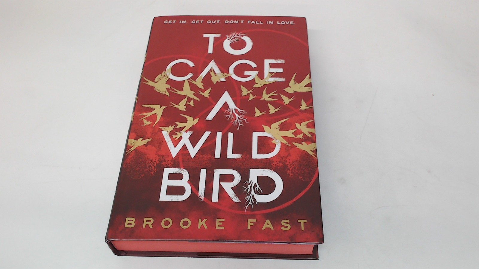 To Cage a Wild Bird: The hottest slow-burn enemies-to-lovers dyst