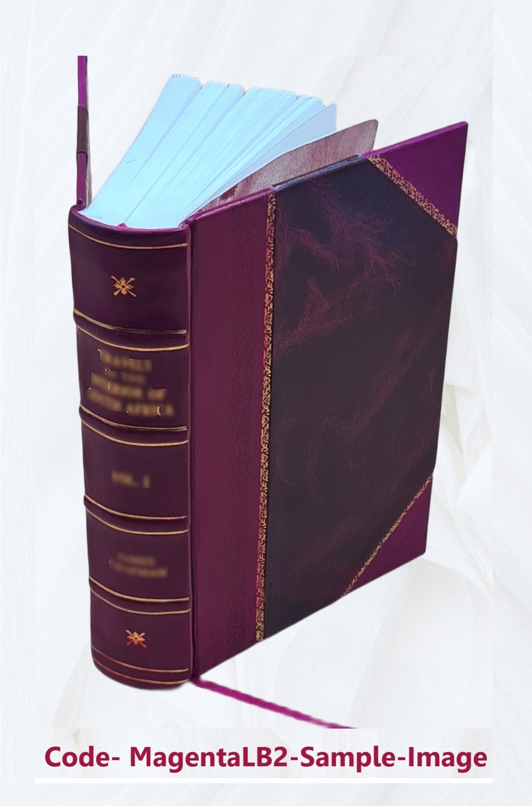 Modern Painting, Its Tendency And Meaning 1922 [Leather Bound]